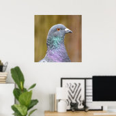 Poster Portrait D'Un Pigeon (Bureau à domicile)