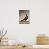 Poster Portrait d'un pigeon porteur (Cuisine)