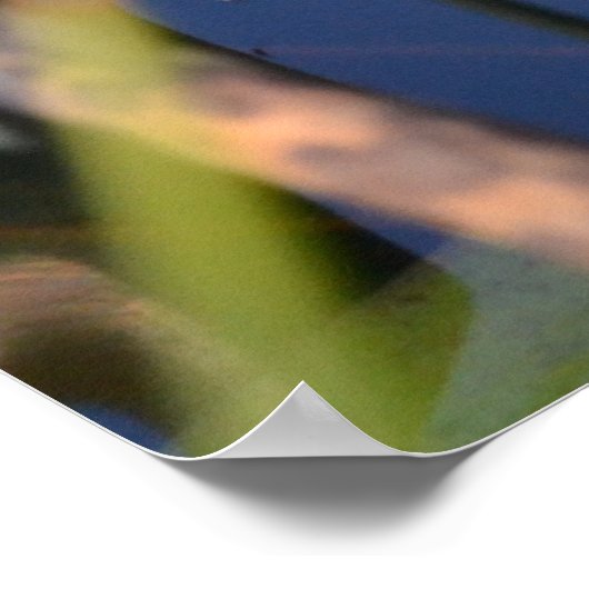 POSTER PORTRAIT D'UN ROG (Coin)