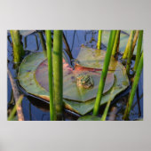 POSTER PORTRAIT D'UN ROG (Devant)