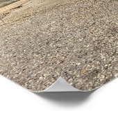 Poster Portrait d'une cigogne (Coin)