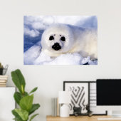 Poster Portrait d'une cuve de phoque de la harpe (Bureau à domicile)