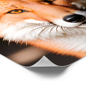 Poster Portrait d'une Fox (Coin)