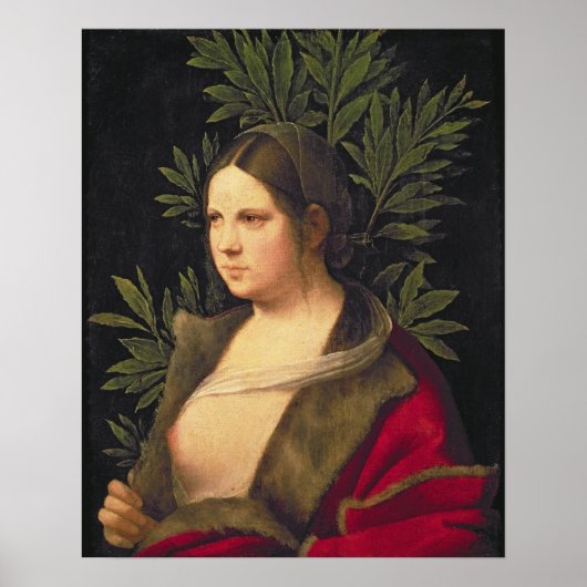 Poster Portrait d'une jeune femme, 1506 (Devant)