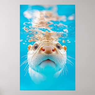 Poster Portrait d'une loutre sauvage dans son environneme