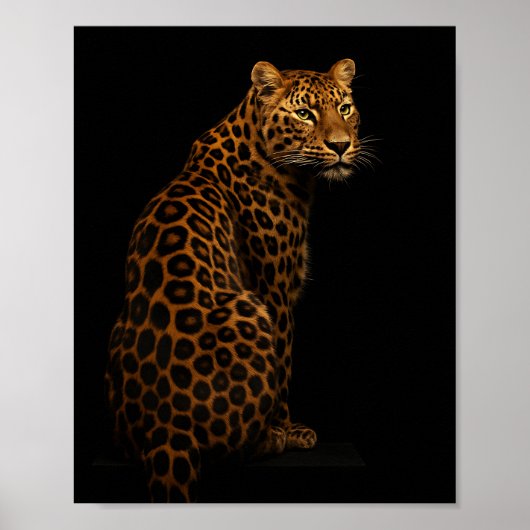 Poster Portrait élégant de léopard sur fond noir (Devant)