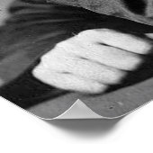 Poster Portrait essentiel Walt Whitman, âge 50 (Coin)