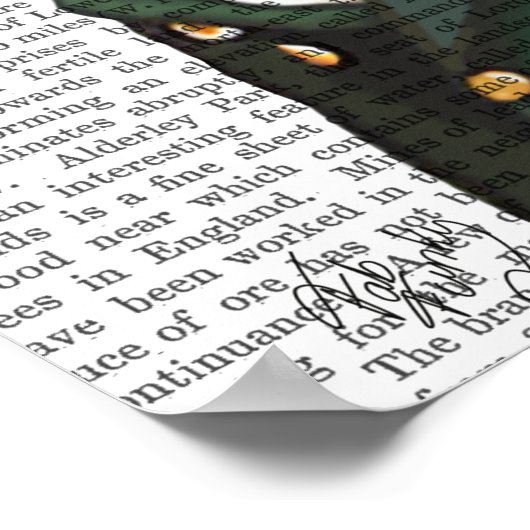 Poster Portrait Fox (Coin)