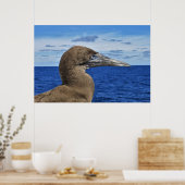 Poster Portrait Gannet (Cuisine)