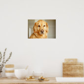 Poster Portrait Golden Retriever (Cuisine)