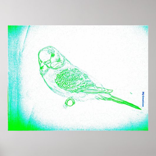 Poster Portrait Green Budgie (Devant)