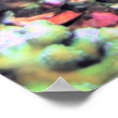 Poster Portrait Hawksbill (Coin)