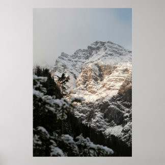 Poster Portrait Illustration Design