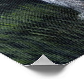 Poster Portrait irlandais Wolfhound Dog (Coin)