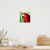 Poster Portrait Macaw (Cuisine)