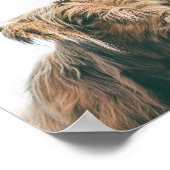 Poster Portrait Majestic Highland (Coin)