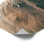 Poster Portrait Majestic Highland (Coin)