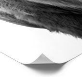 Poster Portrait Moderne de Bison Buffle noir blanc (Coin)