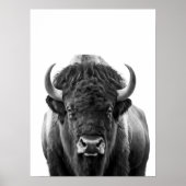 Poster Portrait Moderne de Bison Buffle noir blanc (Devant)