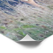 Poster Portrait naturel de Whitetail Buck (Coin)