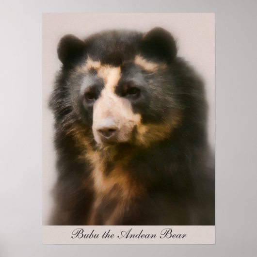 Poster Portrait Noble Bubu (Devant)