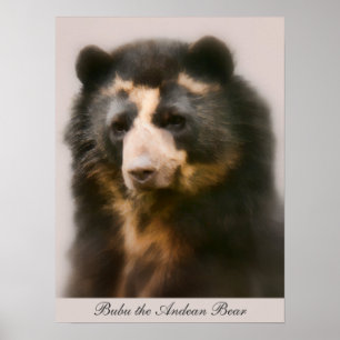 Poster Portrait noble de Bubu