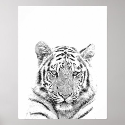 Poster Portrait noir et blanc de tigre (Devant)
