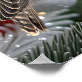 Poster Portrait Of A Hunting Falcon Real Photo (Coin)