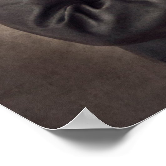 Poster Portrait of A Lion (Coin)