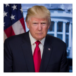 Poster Portrait officiel présidentiel de Donald Trump