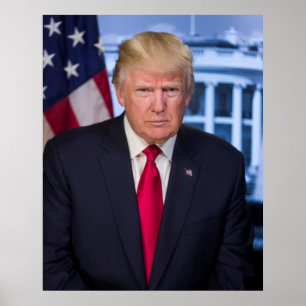 Poster Portrait officiel présidentiel de Donald Trump