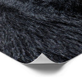 Poster Portrait Ours andin (Coin)