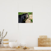 Poster Portrait Ours andin (Cuisine)