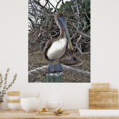 Poster Portrait pélican (Cuisine)