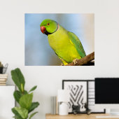 Poster Portrait Perruche à anneau Rose (Bureau à domicile)