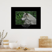 Poster Portrait photo de la faune du loup gris (Cuisine)