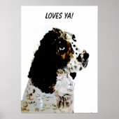 Poster Portrait pour animal de compagnie Springer Spaniel (Devant)