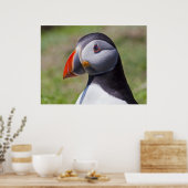 Poster Portrait Puffin Imprimer (Cuisine)