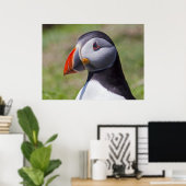 Poster Portrait Puffin Imprimer (Bureau à domicile)