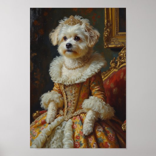 Poster Portrait Royal de Coton de Tulear (Devant)