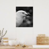 Poster Portrait Seagull (Cuisine)