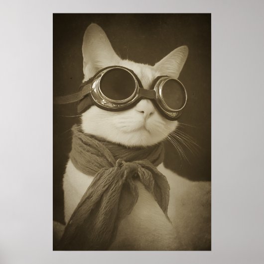 Poster Portrait sépia de chat aviateur Steampunk (Devant)