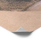 Poster Portrait supposé être Rosalie (Coin)