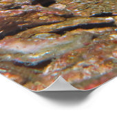 Poster Portrait thaïlandais Scorpionfish (Coin)