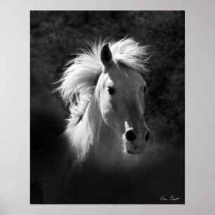 Poster Portrait V de cheval