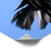 Poster Portrait vautour de Turquie (Coin)