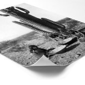 Poster Portrait Vintage amérindien (Coin)