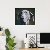 Poster Portrait Weimaraner (Bureau à domicile)