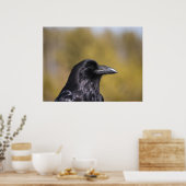 Poster Portrait Wild Raven - Art (Cuisine)