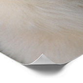 Poster Portraits arctiques (Coin)